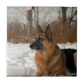 German Shepherd Tile Tegeltje (Voorkant)