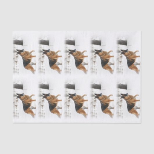 German Shepherd Tissue Paper Tissuepapier (Voorkant)