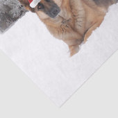 German Shepherd Tissue Paper Tissuepapier (Detail)