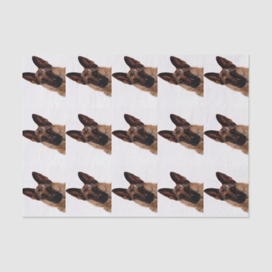 German Shepherd Tissue Paper Tissuepapier (Voorkant)