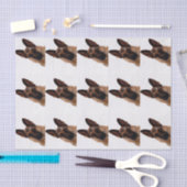 German Shepherd Tissue Paper Tissuepapier (Craft)