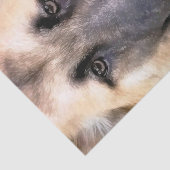 GERMAN SHEPHERD TISSUEPAPIER (Detail)