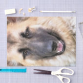 GERMAN SHEPHERD TISSUEPAPIER (Craft)