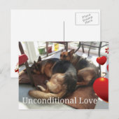 German Shepherd Unconditional Love Briefkaart (Voorkant / Achterkant)