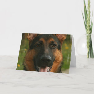 German Shepherd Wenskaart Kaart