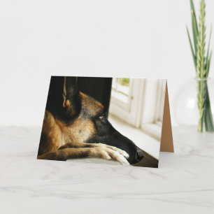 German Shepherd Wenskaart Kaart