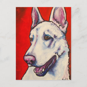 German Shepherd - White Briefkaart