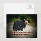German Shepherd Witch Dog Briefkaart (Voorkant / Achterkant)