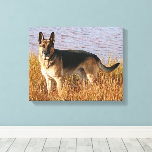 German Shepherd Wrapped Canvas Print (Insitu (Houten vloer))