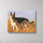 German Shepherd Wrapped Canvas Print (Voorkant)