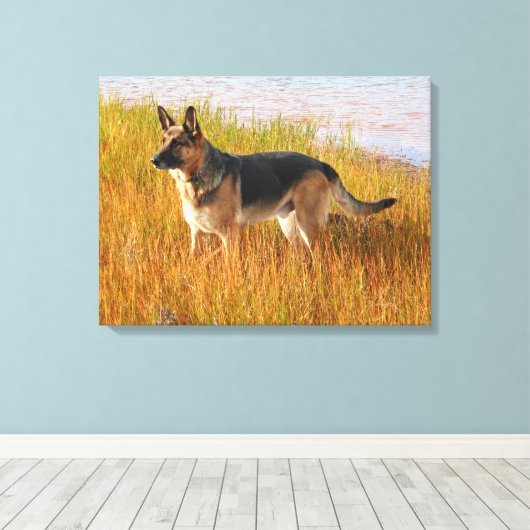 German Shepherd Wrapped Canvas Print (Insitu (Houten vloer))