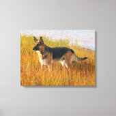 German Shepherd Wrapped Canvas Print (Voorkant)