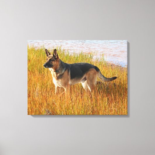 German Shepherd Wrapped Canvas Print (Voorkant)