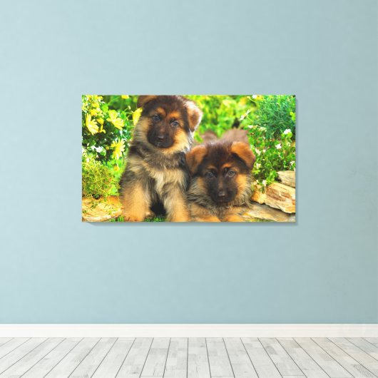 German Shepherds Canvas Afdruk (Insitu (Houten vloer))