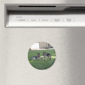 German Shepherds Magneet (Insitu (Vaatwasser))