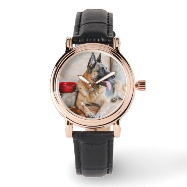 German Sheverliest Resting By Water Basin Horloge (Voorkant)