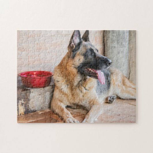 German Sheverliest Resting By Water Basin Legpuzzel (Horizontaal)