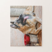 German Sheverliest Resting By Water Basin Legpuzzel (Verticaal)