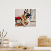 German Sheverliest Resting By Water Basin Poster (Keuken)