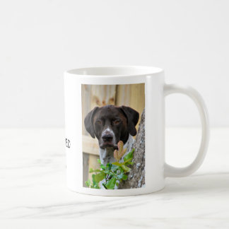 GERMAN SHORT HAIRED POINTER KOFFIEMOK