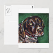 German Shorthair Pointer Briefkaart (Voorkant / Achterkant)