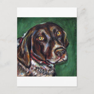 German Shorthair Pointer Briefkaart