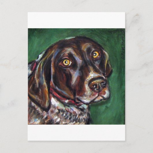 German Shorthair Pointer Briefkaart (Voorkant)
