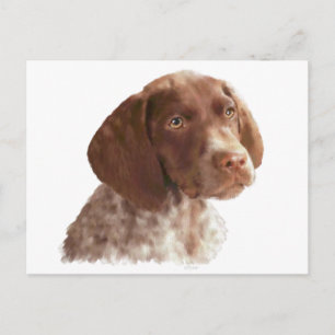 German Shorthair Puppy Briefkaart