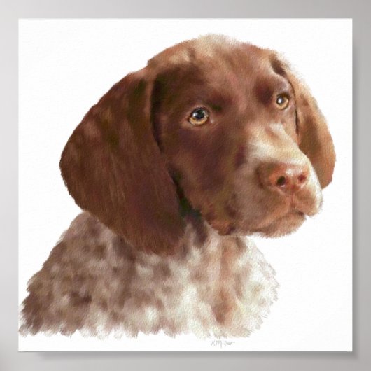 German Shorthair Puppy Poster (Voorkant)