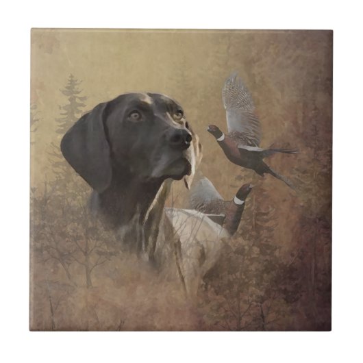 German Shorthaired Pointer,Deutsch Kurzhaar Tapes Tegeltje (Voorkant)