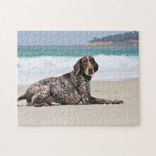 German Shorthaired Pointer - Luke - Riley Legpuzzel