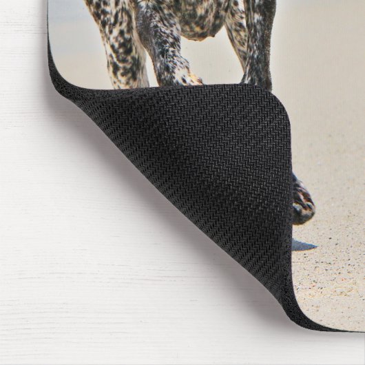 German Shorthaired Pointer - Luke - Riley Muismat (Hoek)