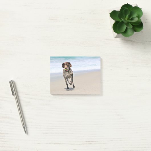 German Shorthaired Pointer - Luke - Riley Post-it® Notes (Kantoor)