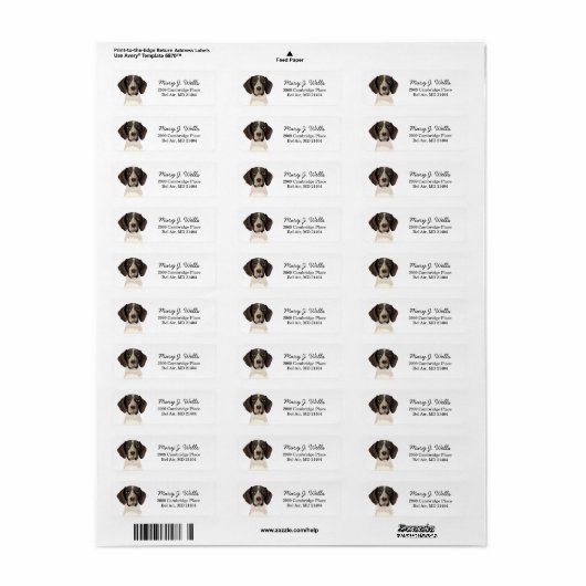 German Shorthaired Pointer Return Label (Full Sheet)