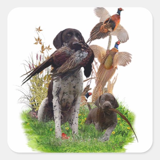 German Shorthaired Pointer    Sticker (Voorkant)