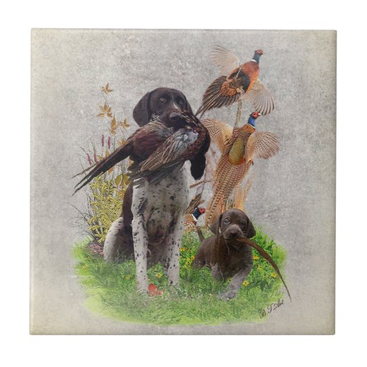 German Shorthaired Pointers (GSP) Gift Box Tegeltje (Voorkant)