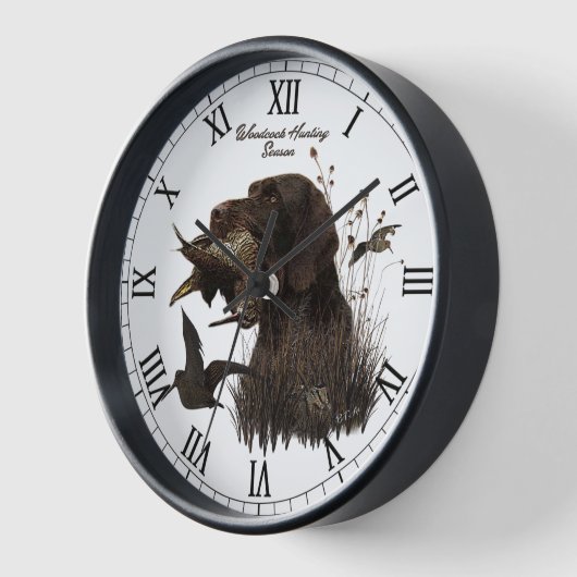 German Wirehaire Pointer (Hoek)