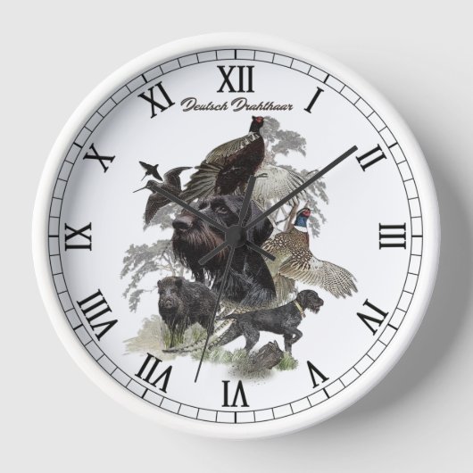 German Wirehaire Pointer (Voorkant)