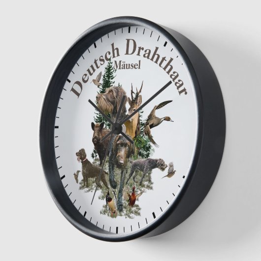 German Wirehaire Pointer (Hoek)