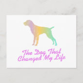 German Wirehaire Pointer Briefkaart (Voorkant)