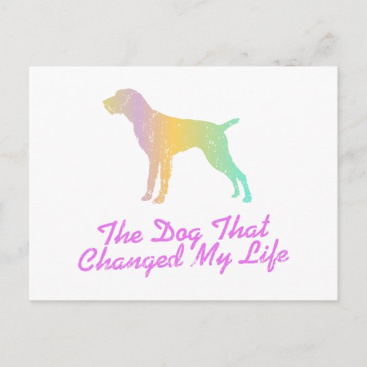 German Wirehaire Pointer Briefkaart (Voorkant)