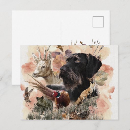 German Wirehaire Pointer Briefkaart (Voorkant / Achterkant)