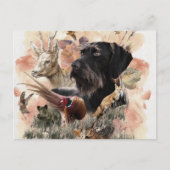 German Wirehaire Pointer Briefkaart (Voorkant)
