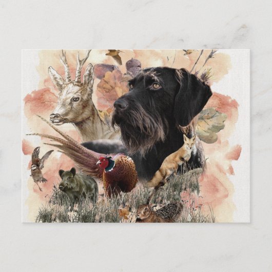 German Wirehaire Pointer Briefkaart (Voorkant)