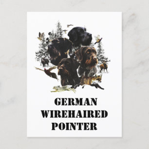 German Wirehaire Pointer Briefkaart