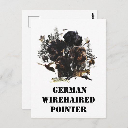 German Wirehaire Pointer Briefkaart (Voorkant / Achterkant)