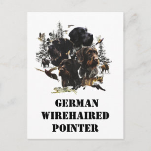German Wirehaire Pointer Briefkaart