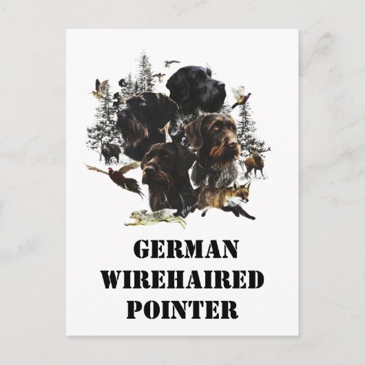 German Wirehaire Pointer Briefkaart (Voorkant)