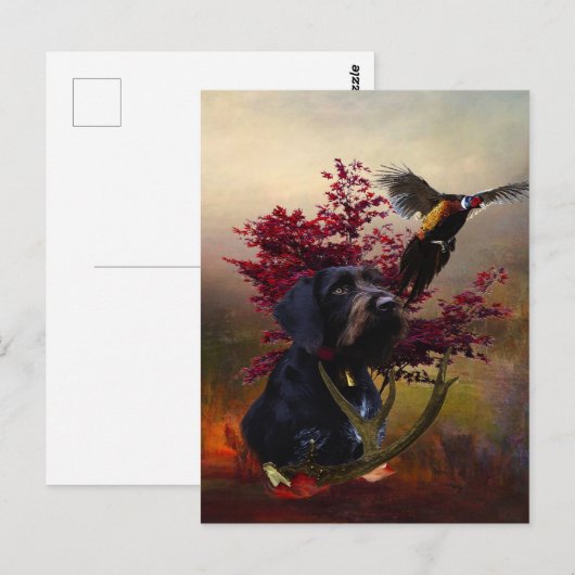 German Wirehaire Pointer Briefkaart (Voorkant / Achterkant)