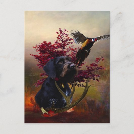 German Wirehaire Pointer Briefkaart (Voorkant)